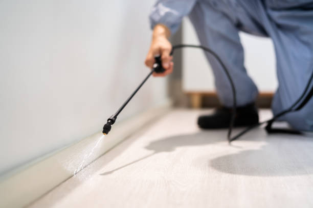 Rodent Entry Point Assessment in Lakeport