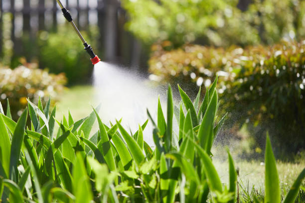 Tamper-Resistant Bait Stations for Rodents in Lakeport