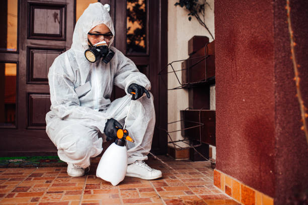 Attic and Crawl Space Rodent Treatment in Lakeport