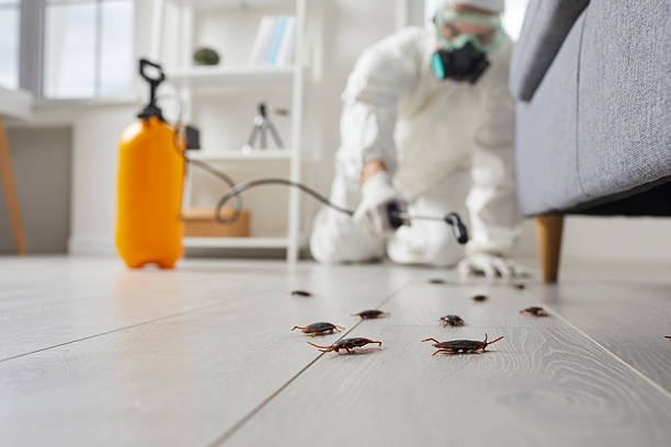 Commercial Rodent Management in Lakeport